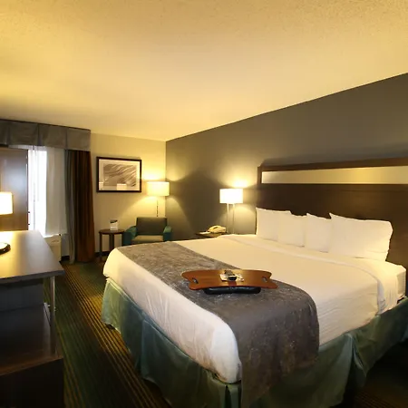Best Western O'Hare/Elk Grove Hotel-2