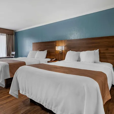 Quality Inn & Suites Ft Jackson Maingate-2