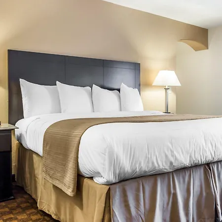 Quality Inn & Suites Coliseum-2