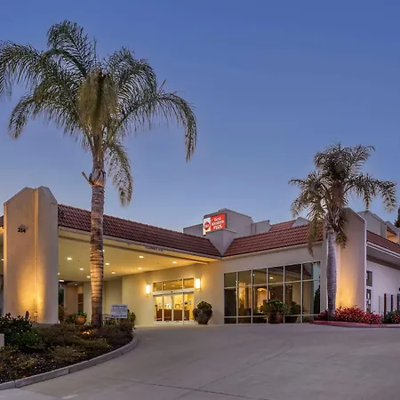 Best Western Plus Royal Oak Hotel-3