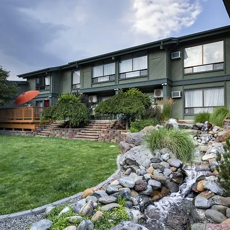 Best Western Plus Tree House-3