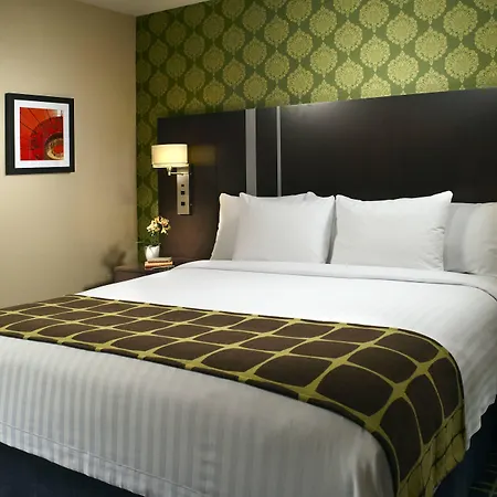 Fairfield Inn & Suites By Marriott Washington Downtown-2