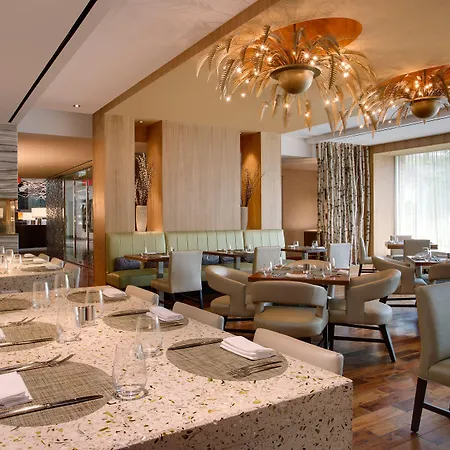 Hilton Mclean Tysons Corner-2