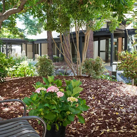 Sheraton Palo Alto Hotel-2