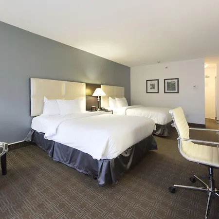 Toronto Don Valley Hotel And Suites-3
