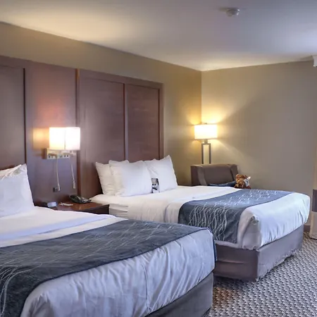 Comfort Inn At Buffalo Bill Village Resort-3