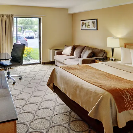 Comfort Inn Airport-3