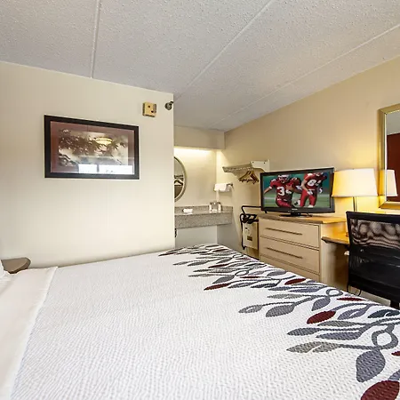 Red Roof Inn Albany Airport-2