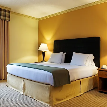 Holiday Inn Express Hotel & Suites Irving Dfw Airport North By Ihg-3