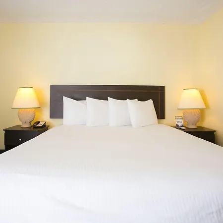 The Hollywood Gateway Inn-3
