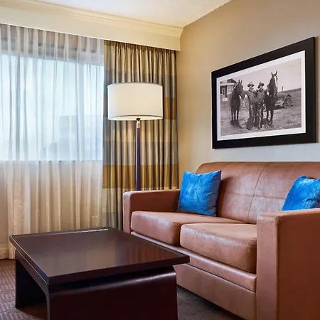 Sheraton North Houston At George Bush Intercontinental-3