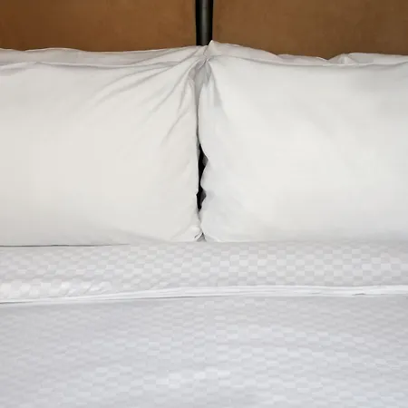 Four Points By Sheraton Mall Of America Minneapolis Airport-3