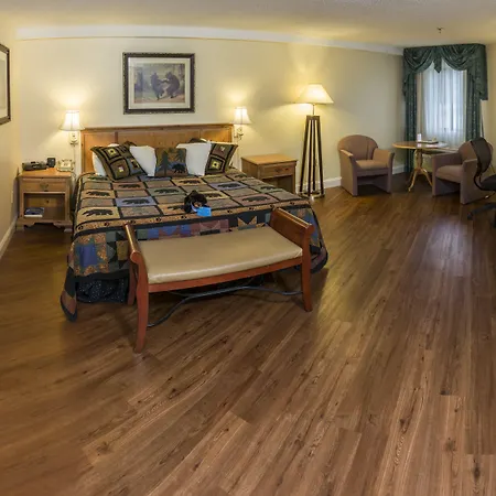 Black Bear Inn, An Ascend Collection Hotel-3