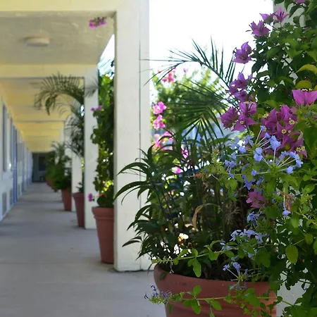 Americas Best Value Inn Bradenton-Sarasota-2