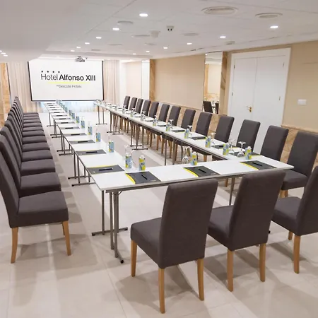 Sercotel Alfonso XIII-2