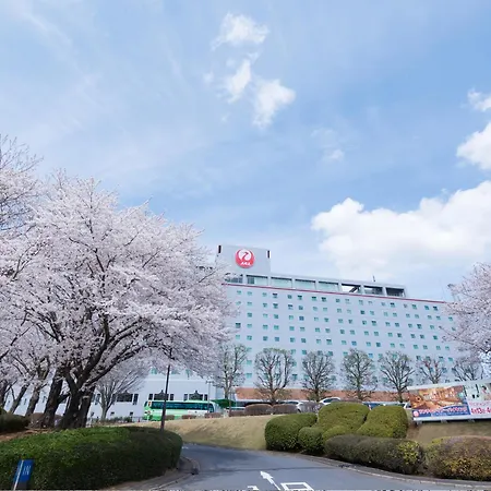 Hotel Nikko Narita-3