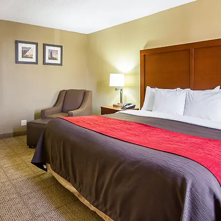 Comfort Inn Cleveland Downtown-3