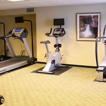 Ann Arbor Regent Hotel And Suites-3