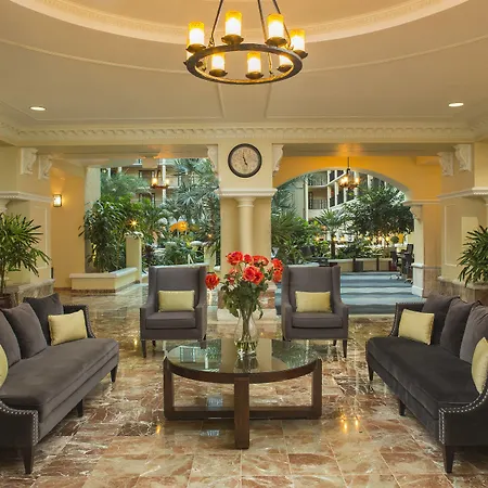 Four Points By Sheraton Suites Tampa Airport Westshore-3