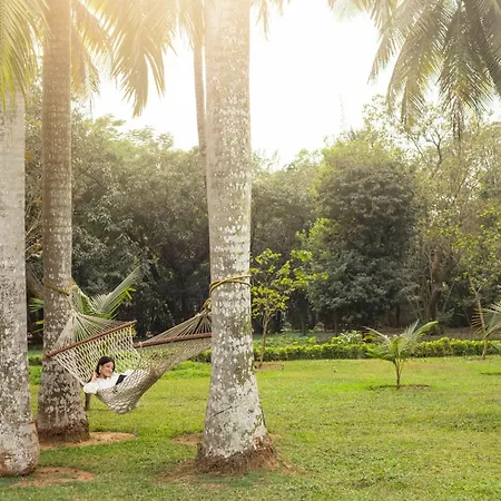 Trident Bhubaneswar-3