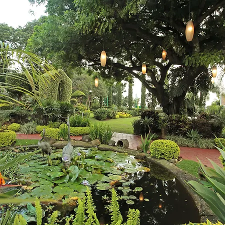 Villa Bejar Cuernavaca-2
