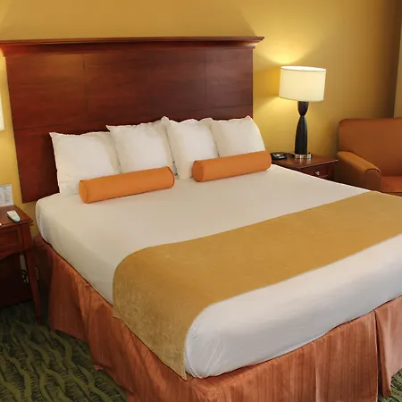 Best Western Mcallen Medical Center-3