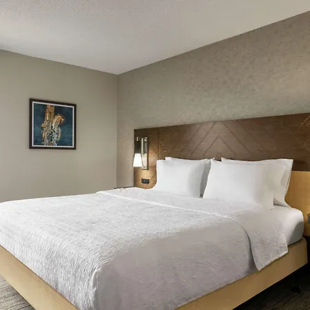 Hampton Inn Kansas City - Airport-2