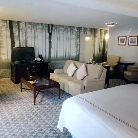 Anaheim Majestic Garden Hotel-2