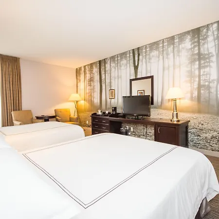 Anaheim Majestic Garden Hotel-2