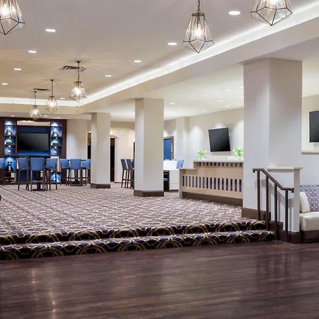 Sheraton Dfw Airport Hotel-3