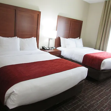 Comfort Inn Wichita Falls Near University-3