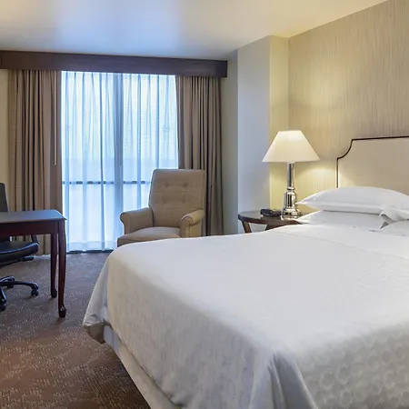 Sheraton Houston Brookhollow Hotel-3