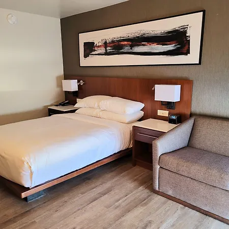 Delta Hotels By Marriott Denver Thornton-2