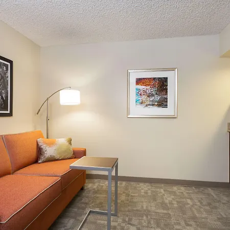 Hampton Inn Houston Near The Galleria-2