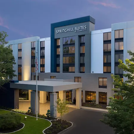 Springhill Suites By Marriott Atlanta Perimeter Center-2