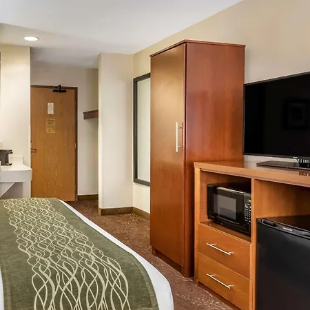 Comfort Inn Okemos - East Lansing-3
