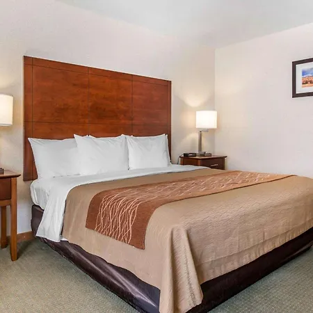 Comfort Inn Salida-3