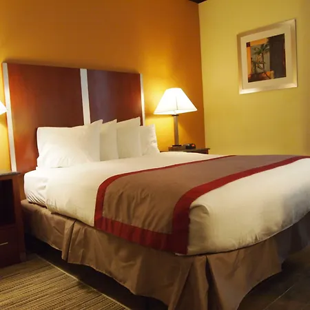 Best Western Ft Lauderdale I-95 Inn-3