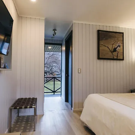 Hotel Lago Grey-3