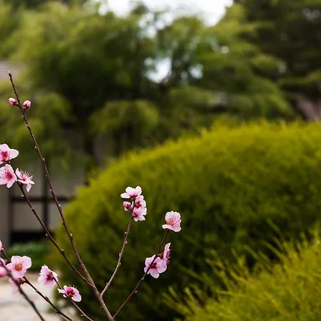 Shizuka Ryokan Japanese Country Spa & Wellness Retreat-2