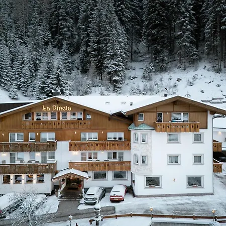 Hotel La Pineta-2