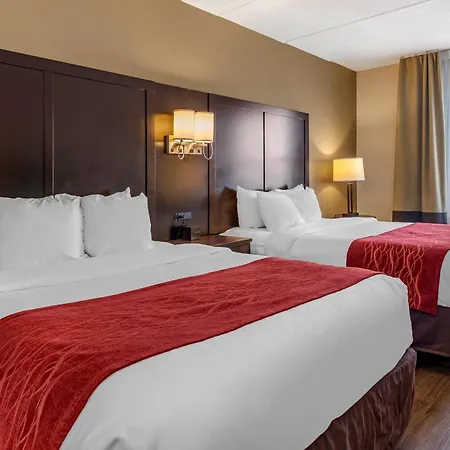 Comfort Inn & Suites Near Six Flags-2