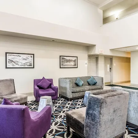 Quality Inn & Suites Westminster - Broomfield-2