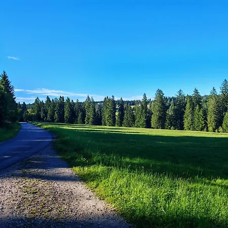 Gasthof Steinwald-2