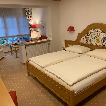 Hotel Gasthaus Adler-2