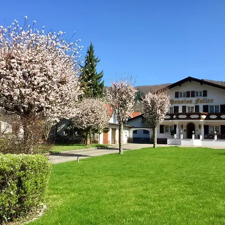 Hotel Gasthaus Adler-2