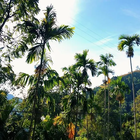 Cool Breeze View-3