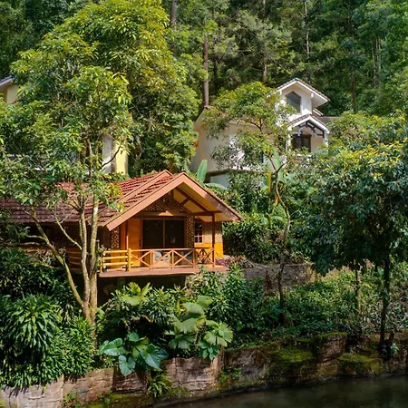 Safari Resort-2