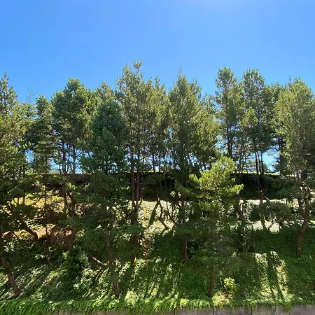 Best Western Plus Agate Beach Inn-2