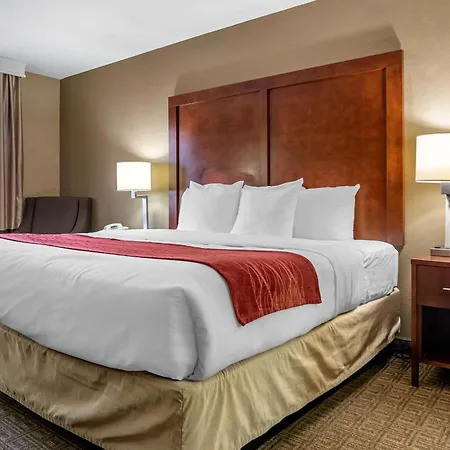 Comfort Inn & Suites Leeds I-20-3